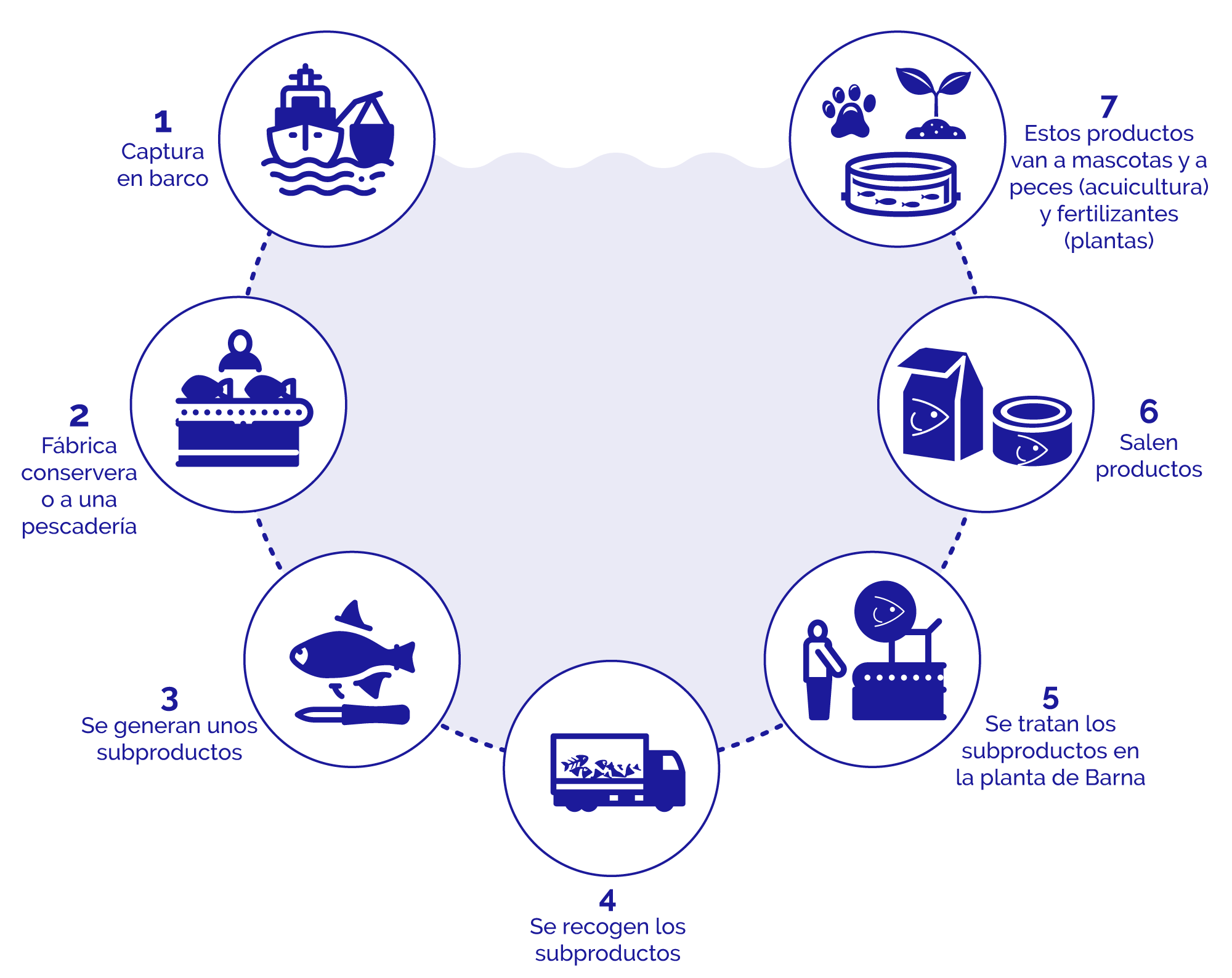 Captura en barco - Después va a una fábrica conservera o a una pescadería - Se generan unos subproductos - Se recogen los subproductos - Se tratan los subproductos en la planta de Barna - Salen productos - Estos productos van a mascotas y a peces (acuicultura) y fertilizantes (plantas)
